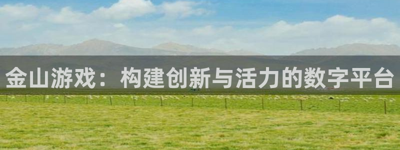 db电竞官网登录注册不了怎么回事：金山游戏：构建创新与活力的数字平台