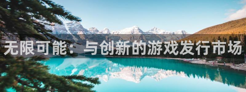 db电竞官网平台怎么样可靠吗：无限可能：与创新的游戏发行市场