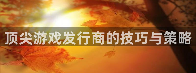 db电竞男装品牌