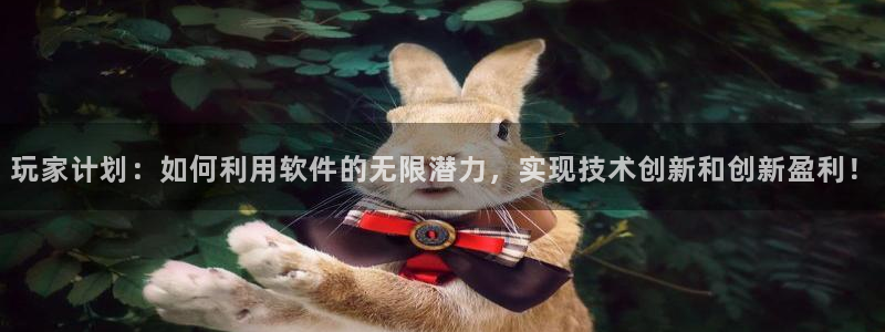 db电竞商标：玩家计划：如何利用软件的无限潜力，实现技术创新和创新盈利！