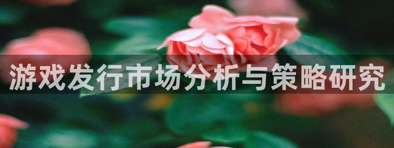 db电竞官网注册平台：游戏发行市场分析与策略研究