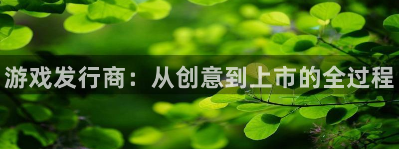 广州db电竞投资管理顾问有限公司：游戏发行商：从创意到上市的全过程