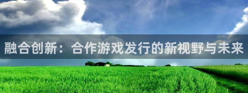 db电竞官网登录注册不了账号：融合创新：合作游戏发行的新视野与未来
