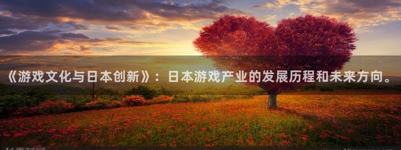 db电竞gs：《游戏文化与日本创新》：日本游戏产业的发展历程和未来方向。