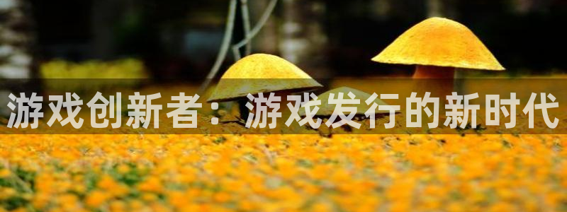 db电竞龙：游戏创新者：游戏发行的新时代