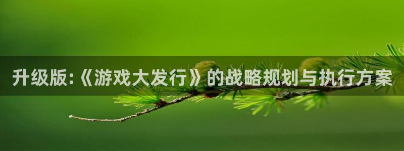 db电竞电商怎么样可靠吗：升级版:《游戏大发行》的战略规划与执行方案