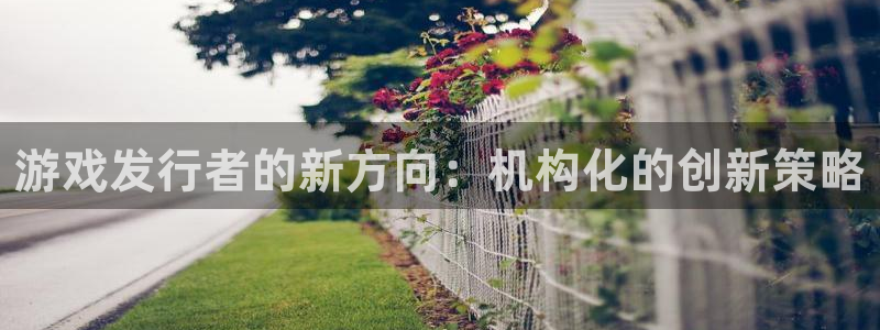 db电竞官网注册登录官网：游戏发行者的新方向：机构化的创新策略