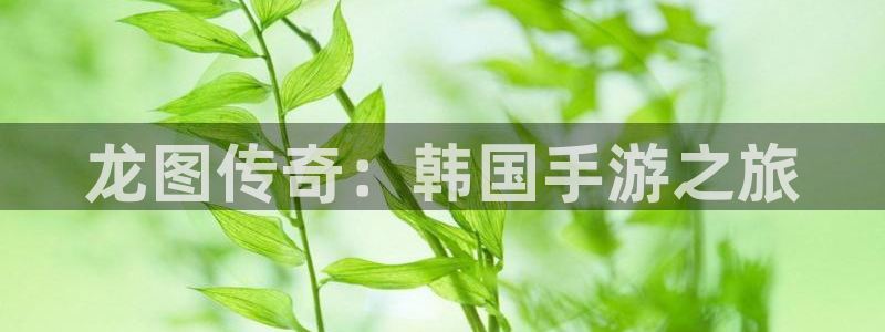 db电竞品牌logo：龙图传奇：韩国手游之旅