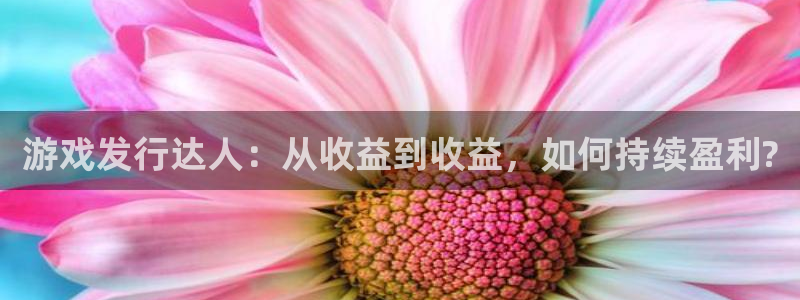 四川db电竞科技有限公司招聘