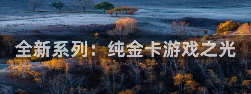 db电竞官网登录注册账号密码：全新系列：纯金卡游戏之光