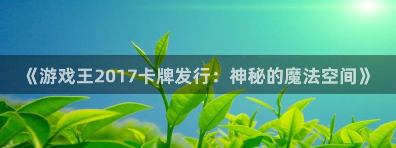 db电竞官网注册平台怎么注册：《游戏王2017卡牌发行：神秘的魔法空间》