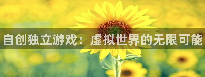db电竞子代表什么意思：自创独立游戏：虚拟世界的无限可能